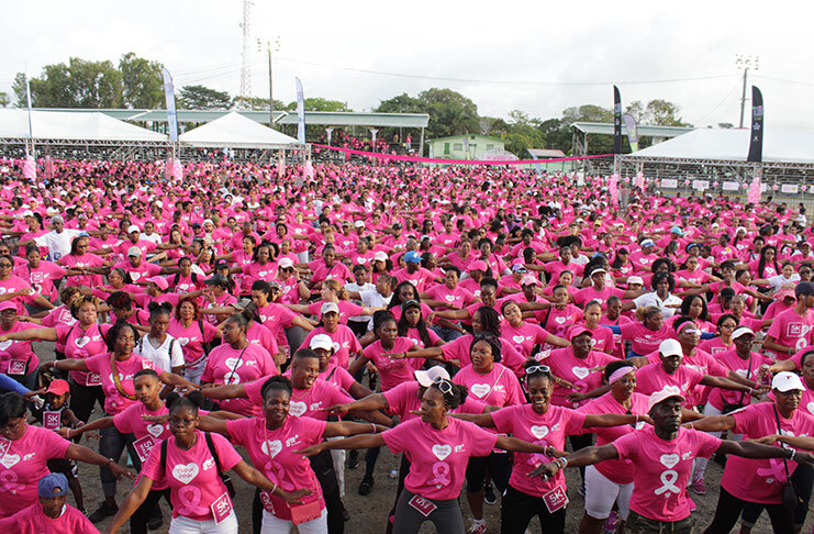 Ho Breast Cancer Walk 2025